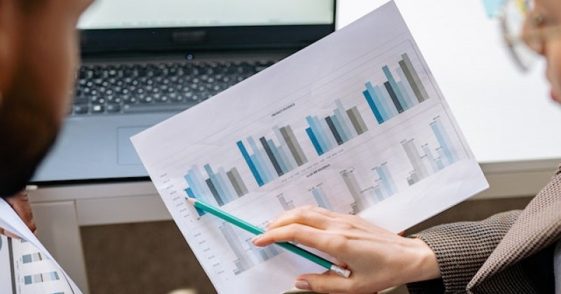 Beraterin, Finanzberatung